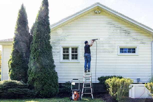 Professional Pressure Washing in Thorndale, TX